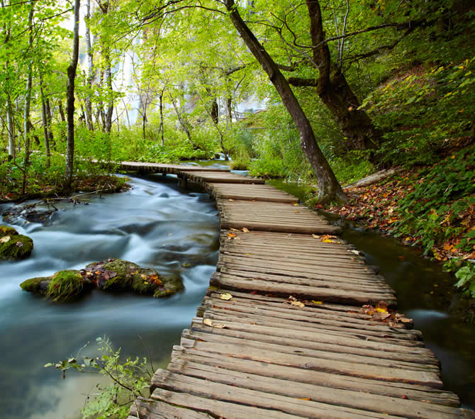 Via Ad Natura Tu camino a la naturaleza